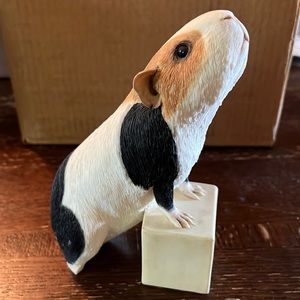 Sherratt & Simpson guinea pig, sniffing air, paws up